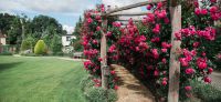 23_Spaziergang_mit_Rosenduft-Rosengarten-Duftgarten-Galabau-Leipzig