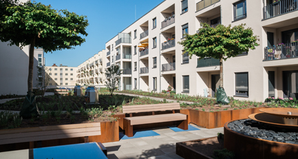 Dachbegrünung mit Weitblick - Ein grünes Paradies über den Dächern der Stadt