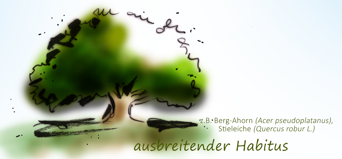 Was ist eigentlich der Habitus?