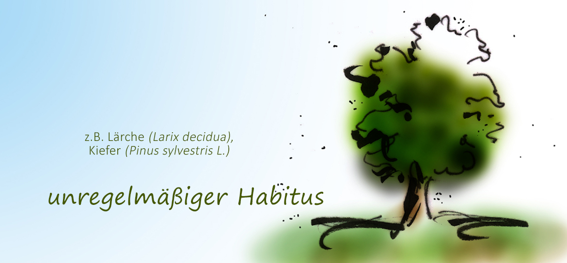 Was ist eigentlich der Habitus?