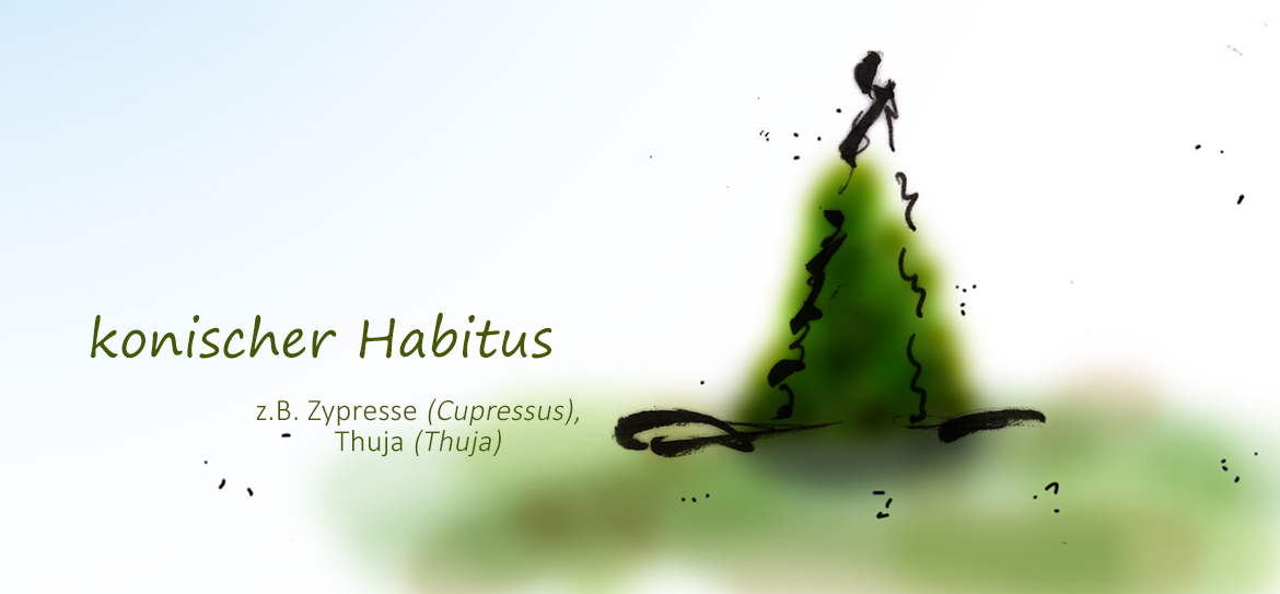 Was ist eigentlich der Habitus?