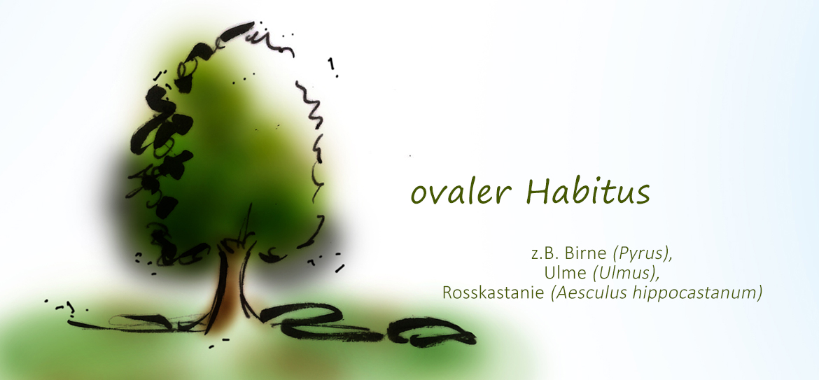 Was ist eigentlich der Habitus?