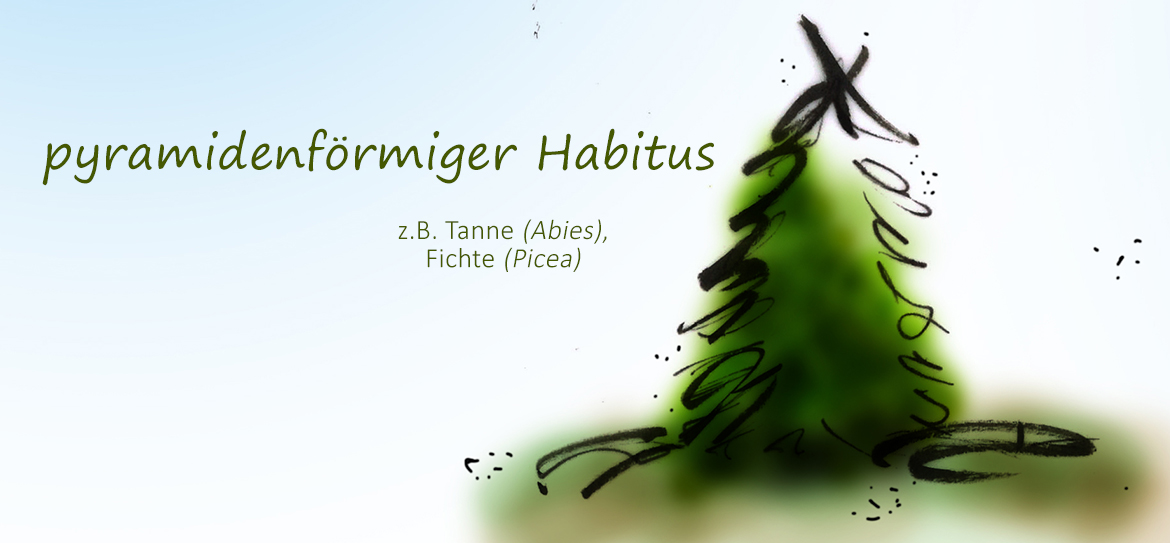 Was ist eigentlich der Habitus?