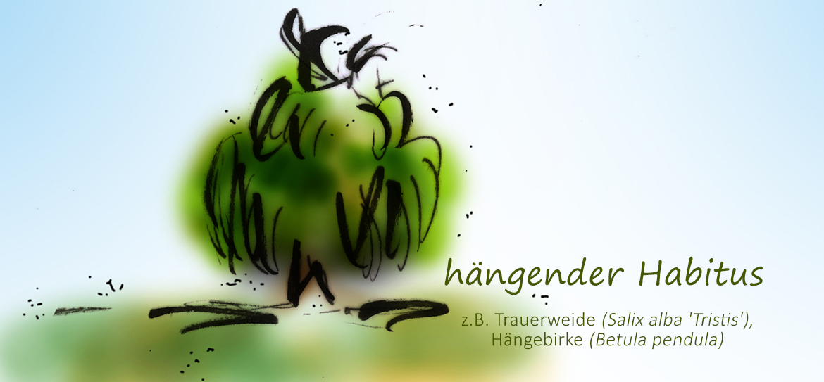 Was ist eigentlich der Habitus?