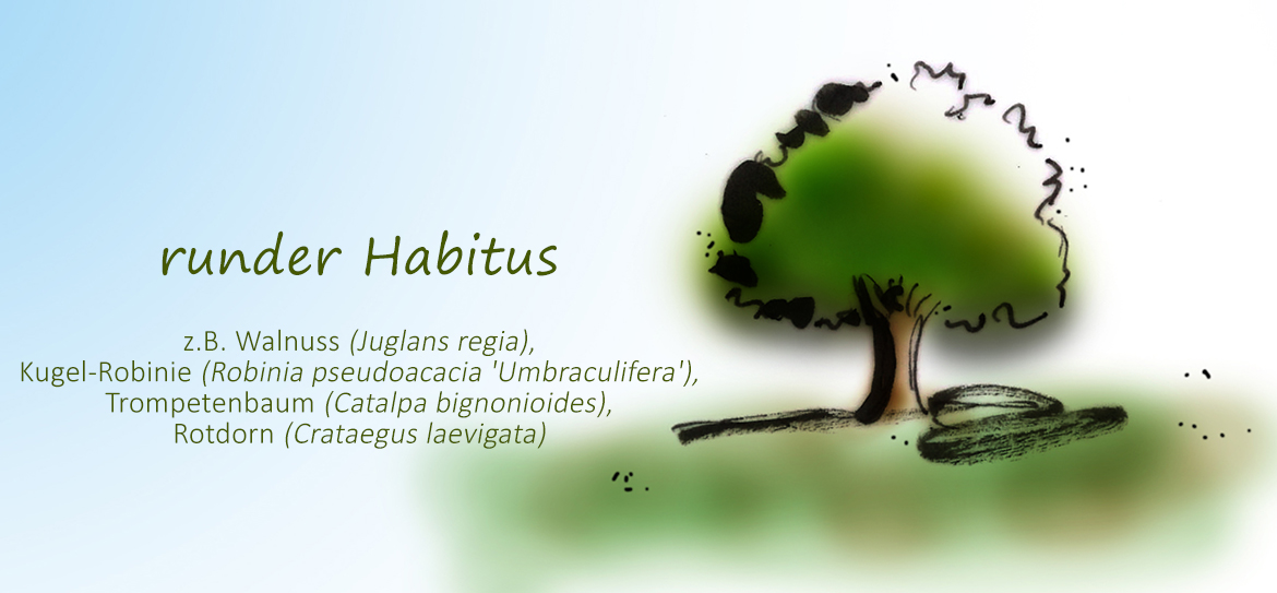 Was ist eigentlich der Habitus?