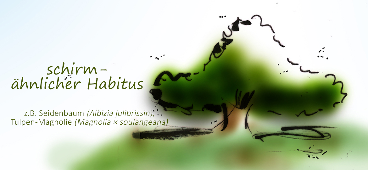 Was ist eigentlich der Habitus?