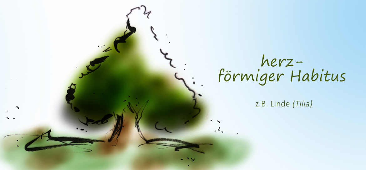Was ist eigentlich der Habitus?