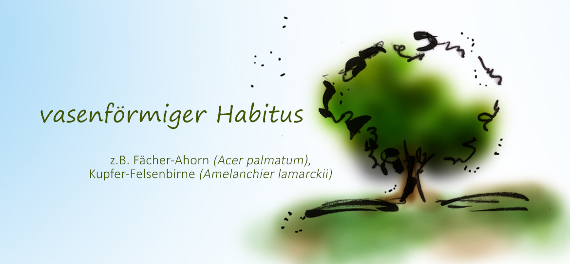 Was ist eigentlich der Habitus?