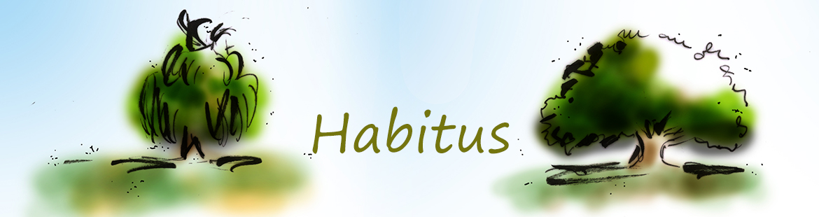 Habitus-Baumform-Gehölzschnitt