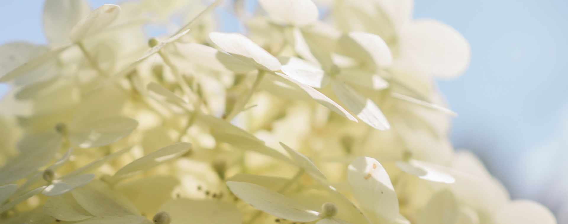 Herzlich willkommen bei Garten Theim